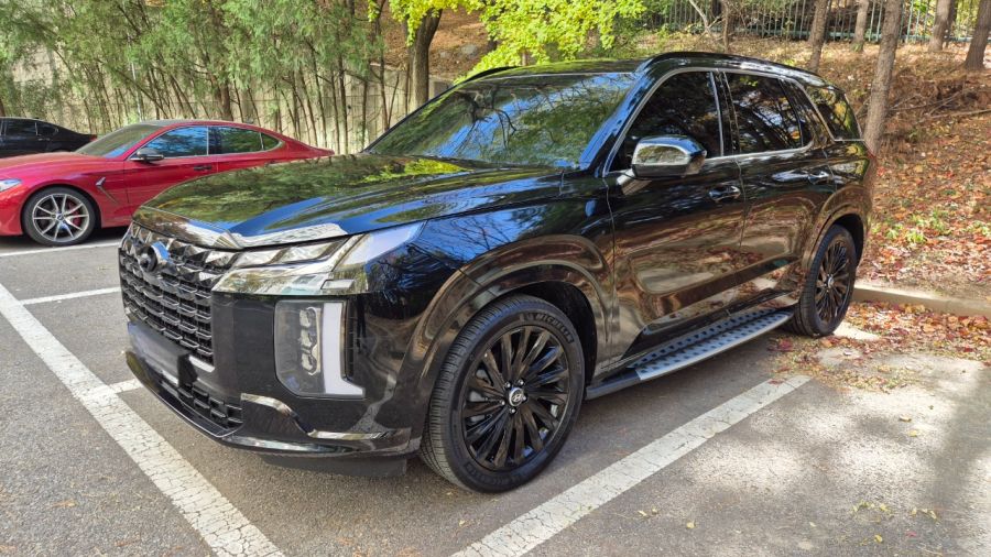 패밀리카 출고 2주년 기념 왁싱했어요 (팰리세이드)_2.jpeg