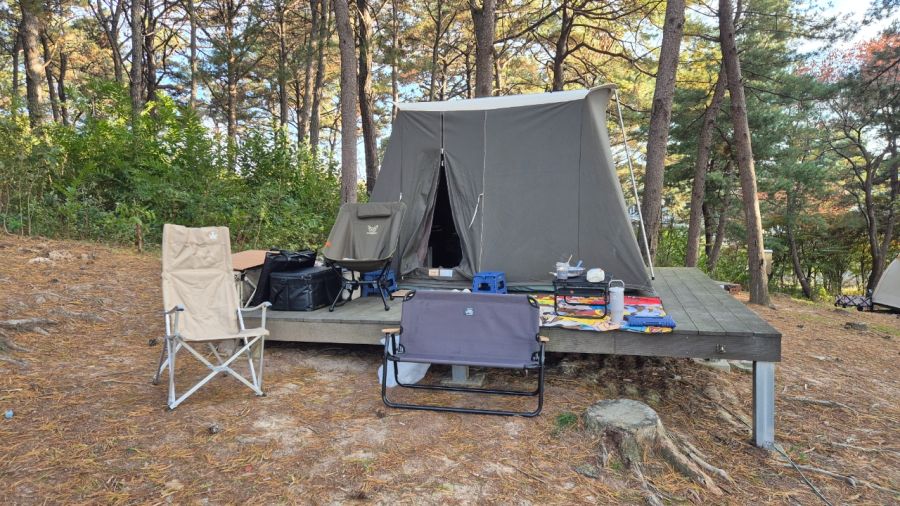 패밀리카 출고 2주년 기념 왁싱했어요 (팰리세이드)_5.jpeg