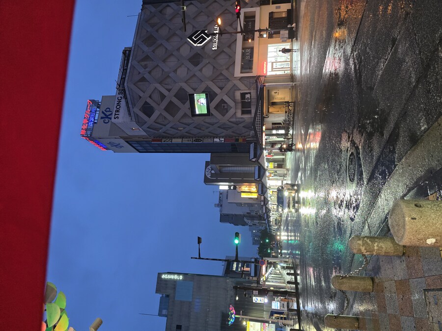 그냥 심심해서 찍은 일본 소도시 사진들_12.jpg