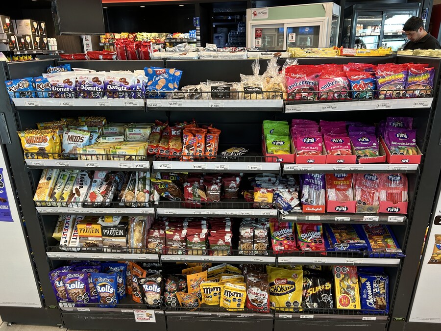 칠레 처갓집 방문기 (1) 1-4일차 : 산티아고_31.jpg