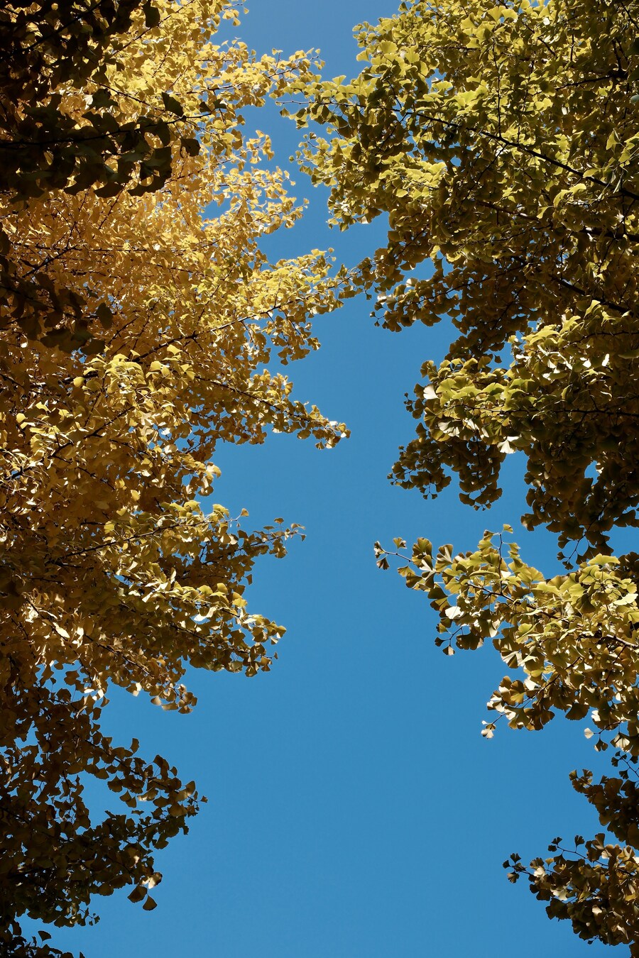 성수동의 일상 사진 1편 (스압)_16.jpg