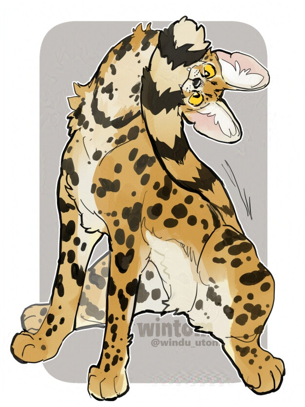 모닝의 밈미_2.jpg