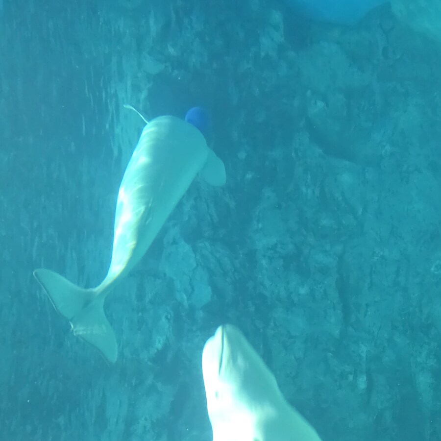 유게이들이 제일 좋아하는거 쪄왔다_2.jpg