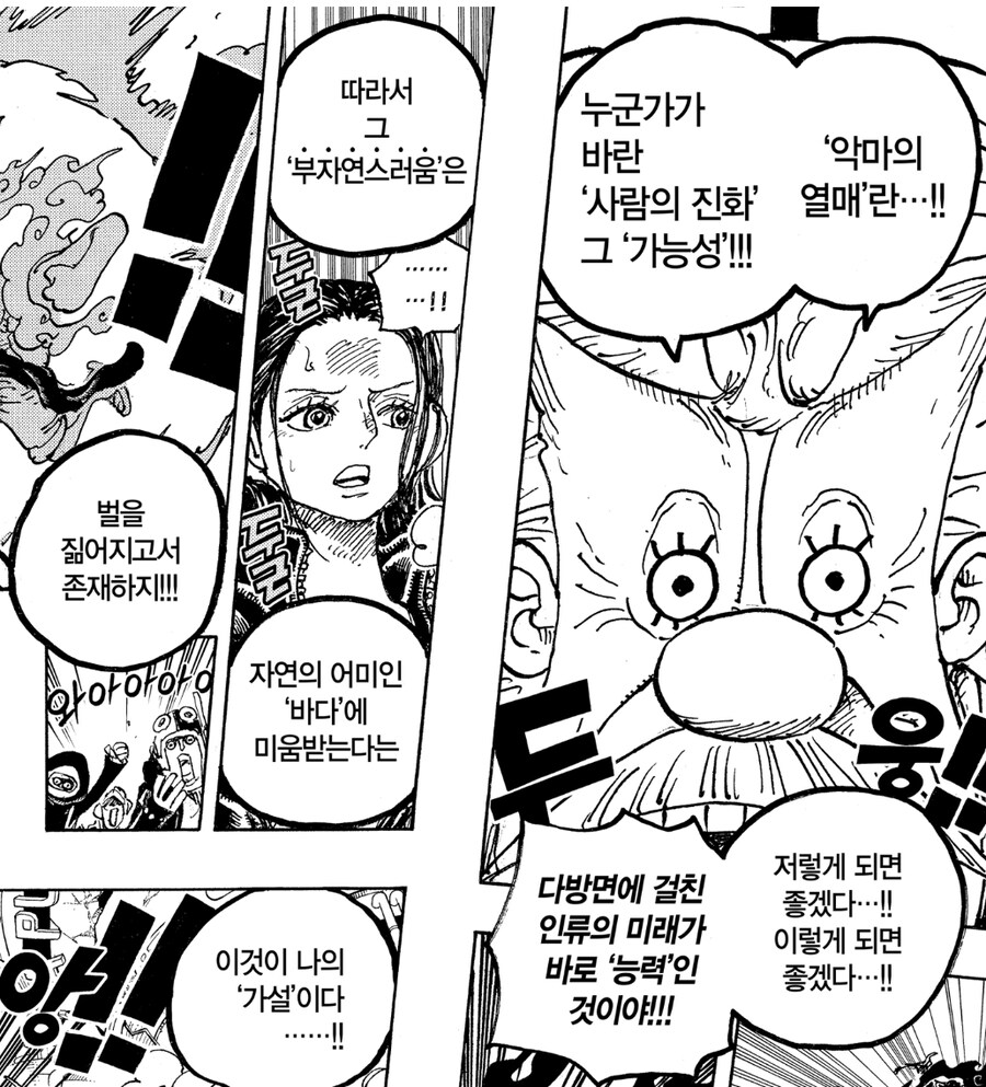 원피스에서 흔히 오해하는 잘못된 설정 TOP5_3.jpg