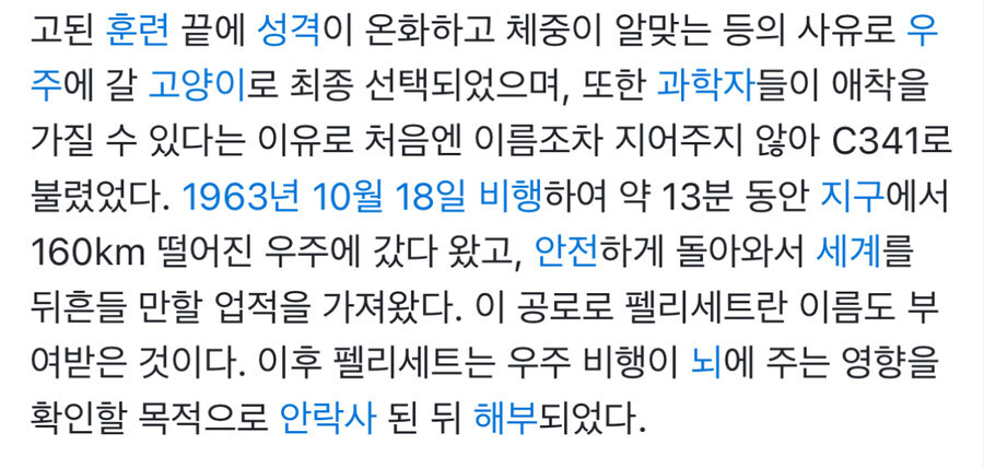 최초로 우주로간 고양이.jlg_3.jpg