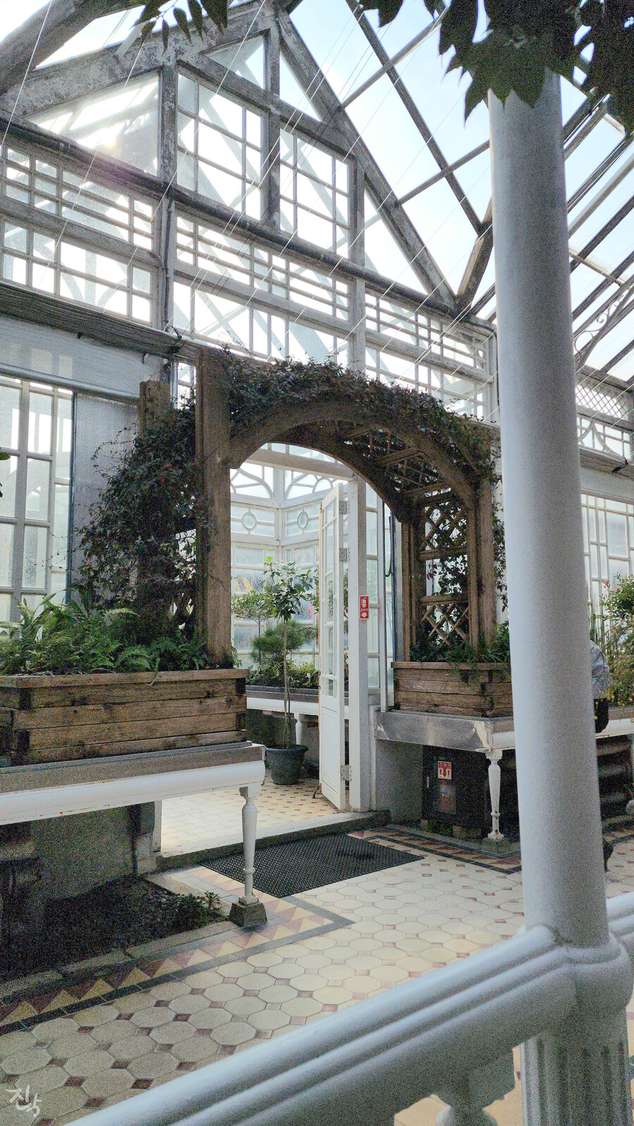 [사진많음] 창경궁, 춘당지 일원 & 가을끝자락_8.jpg