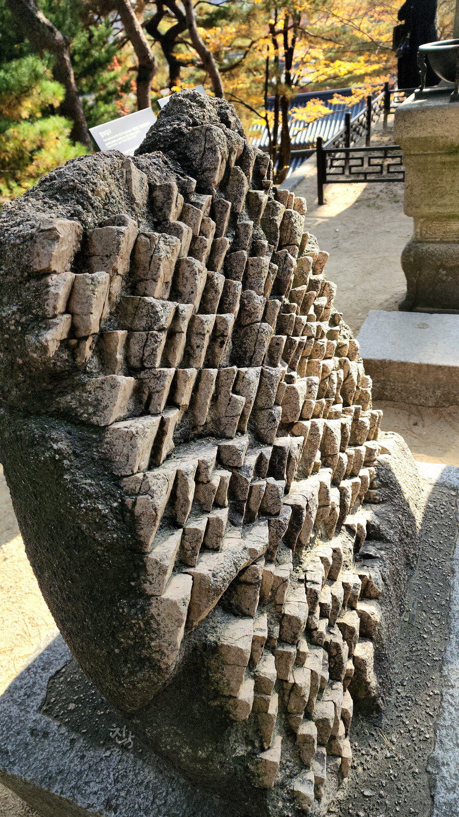 [사진많음] 창경궁, 춘당지 일원 & 가을끝자락_24.jpg