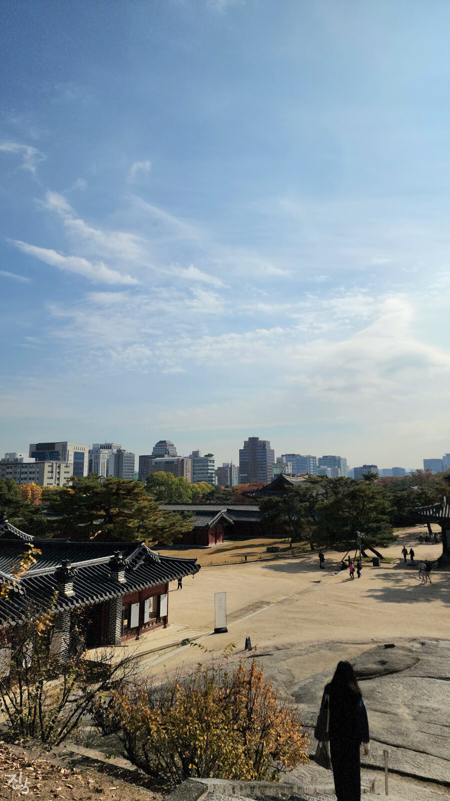 [사진많음] 창경궁, 춘당지 일원 & 가을끝자락_26.jpg