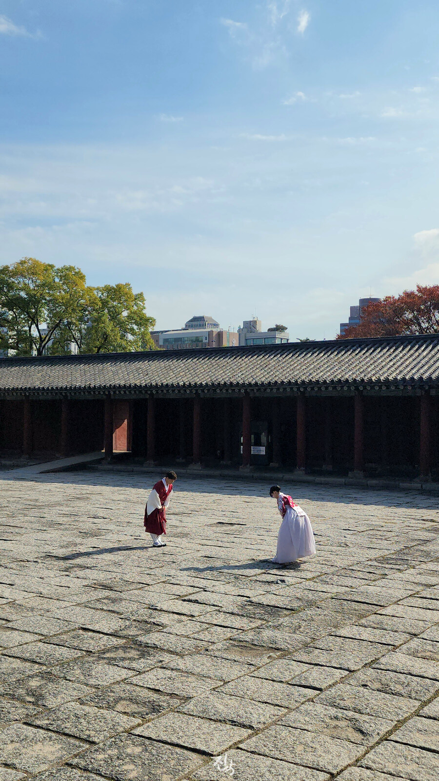 [사진많음] 창경궁, 춘당지 일원 & 가을끝자락_29.jpg