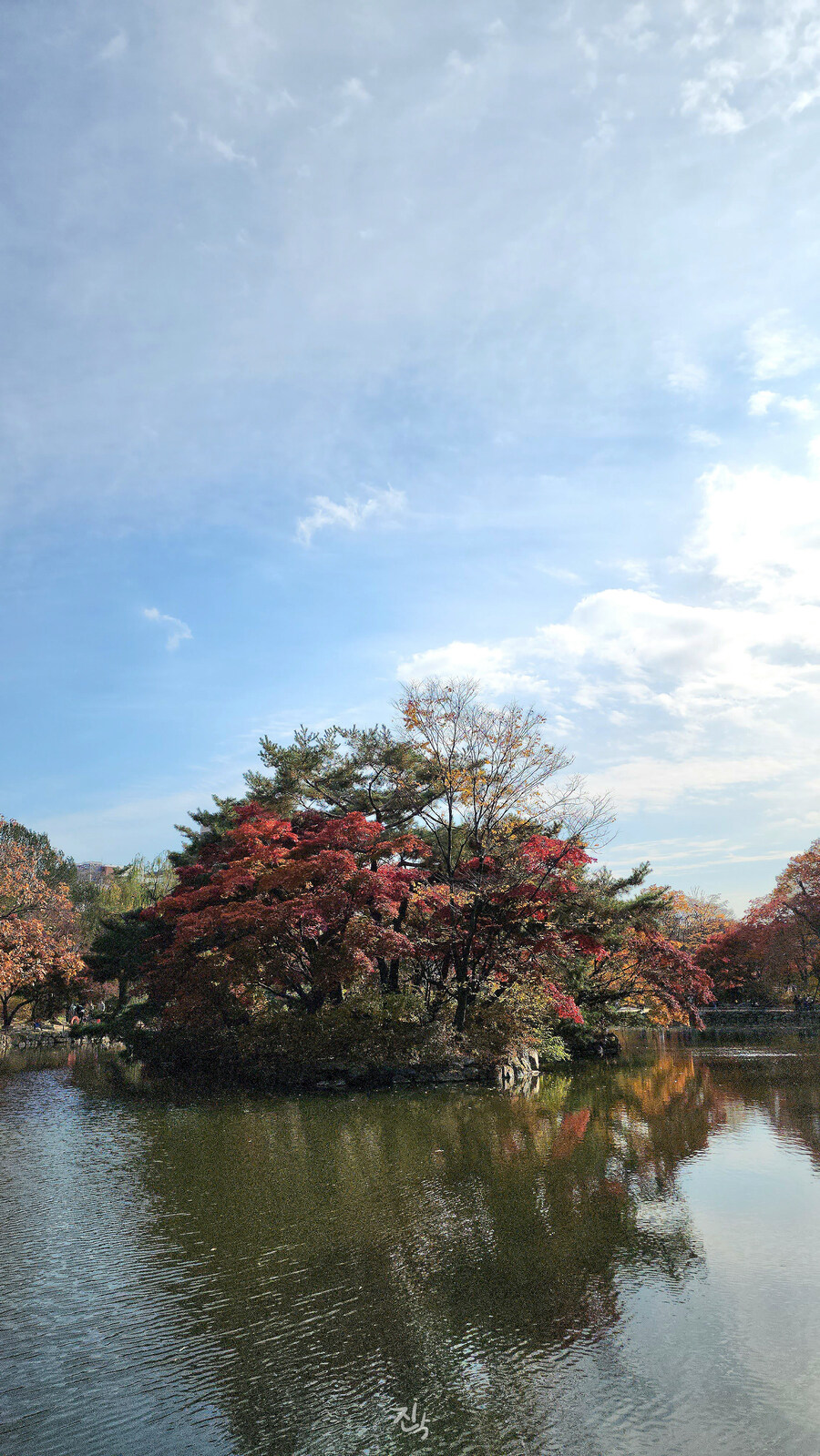 [사진많음] 창경궁, 춘당지 일원 & 가을끝자락_13.jpg