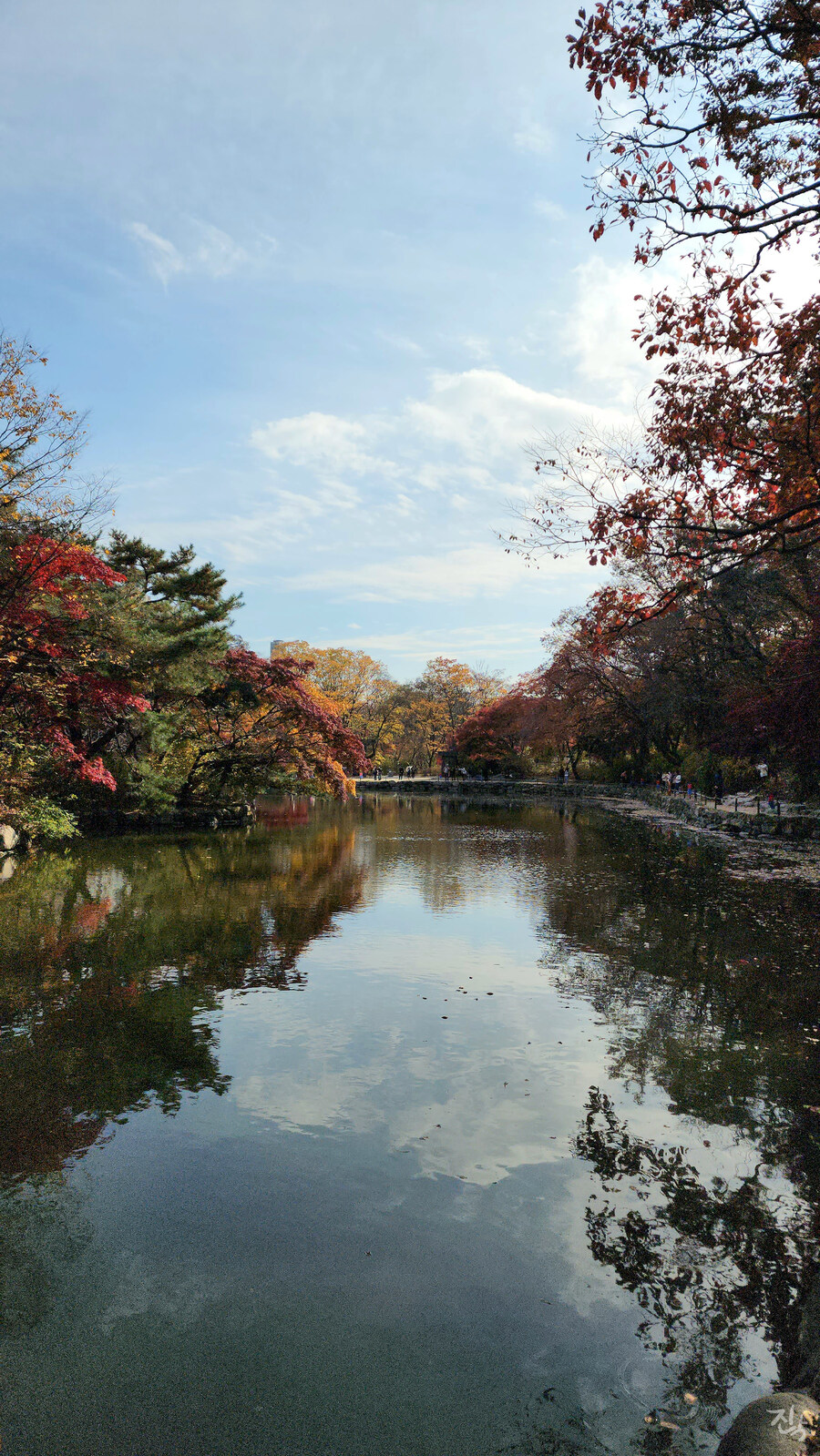 [사진많음] 창경궁, 춘당지 일원 & 가을끝자락_14.jpg
