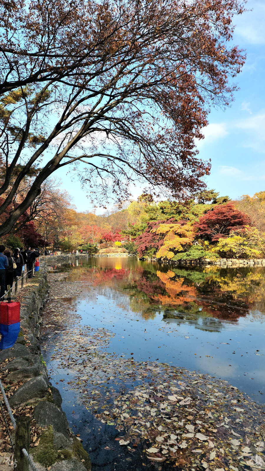 [사진많음] 창경궁, 춘당지 일원 & 가을끝자락_19.jpg