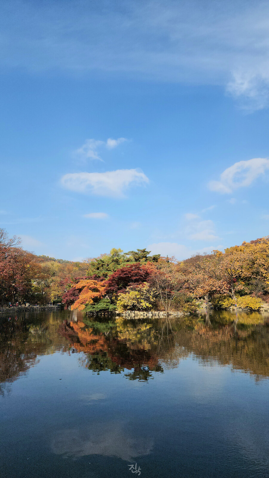 [사진많음] 창경궁, 춘당지 일원 & 가을끝자락_21.jpg