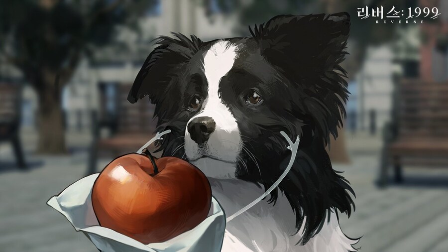 리버스1999) 보더 콜리와 사과의 우정_3.jpg