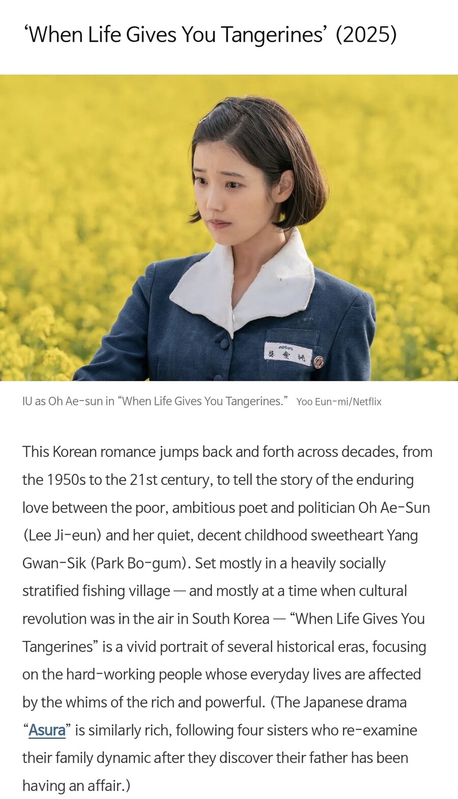 '폭싹 속았수다', 뉴욕타임즈 선정 최고의 넷플릭스 드라마 30개에 선정_1.jpg