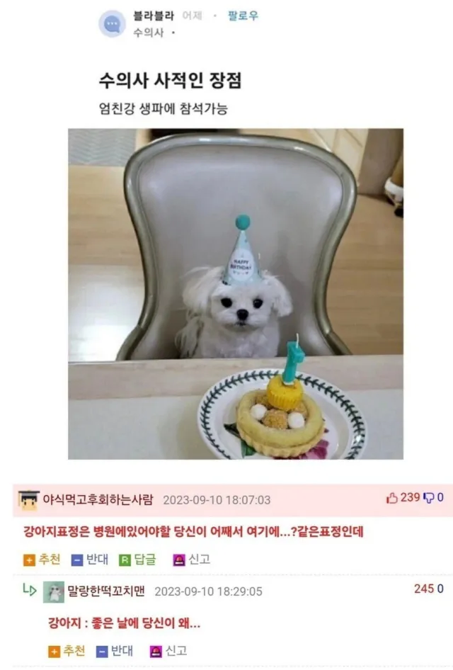 수의사 사적인 장점_1.webp