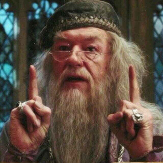 해리포터) 서로를 배신자로 의심하는 불사조 기사단원들_19.jpg