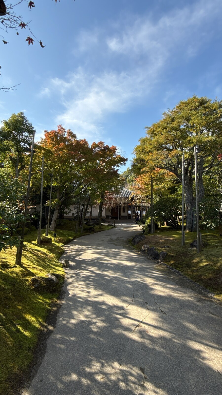 11월 2~7 5박6일 돗토리 요나고 여행 5일차 및 귀국까지.(스압)_27.jpg