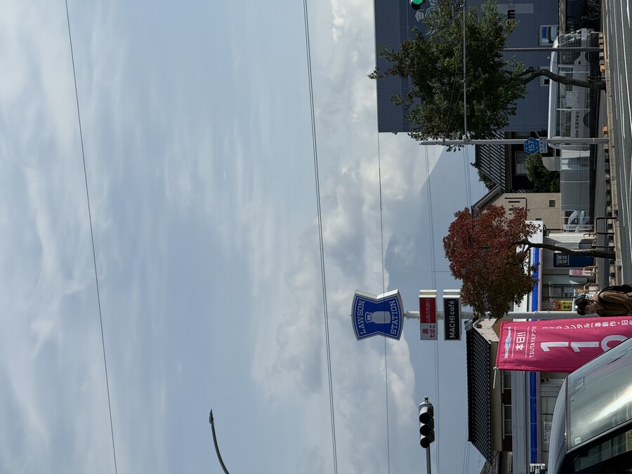 11월 2~7 5박6일 돗토리 요나고 여행 5일차 및 귀국까지.(스압)_55.jpg