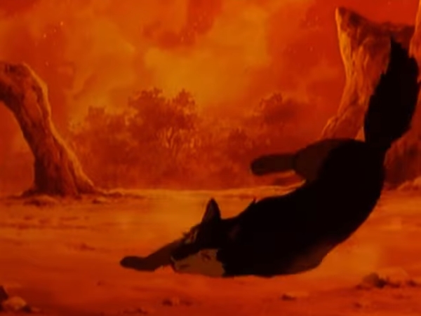 [정글북:소년 모글리] 호랑이 vs 늑대_8.jpg