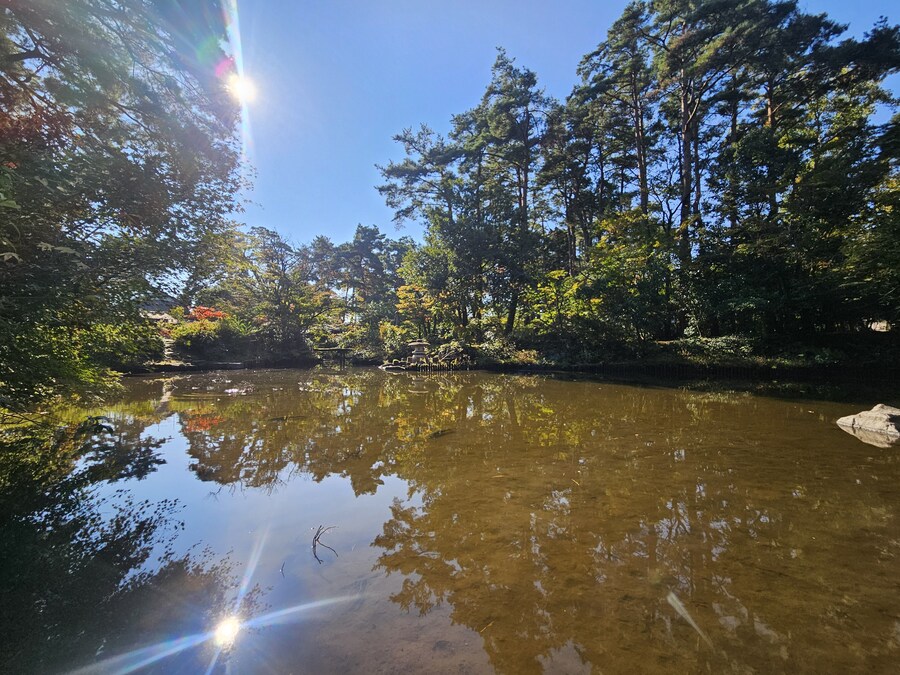단풍과 이끼. 니가타 9박10 여행 - 2_2.jpg