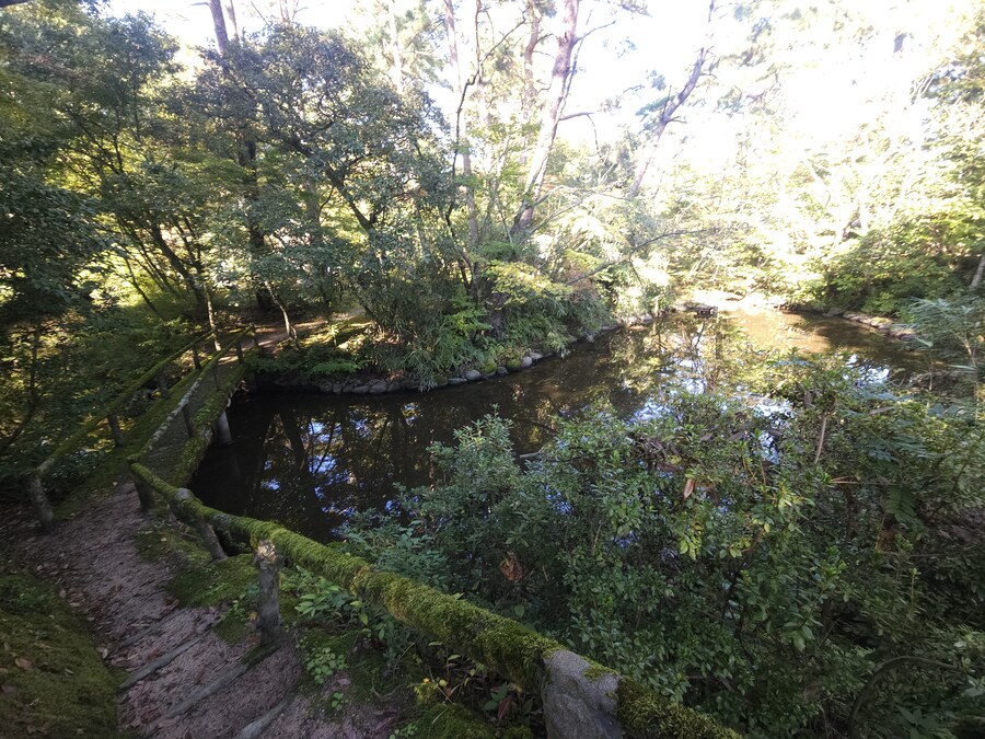 단풍과 이끼. 니가타 9박10 여행 - 2_4.jpg