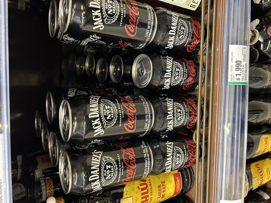 칠레 처갓집 방문기 (2) 4-6일차 : 발파라이소 / 비냐 델 말_30.jpg