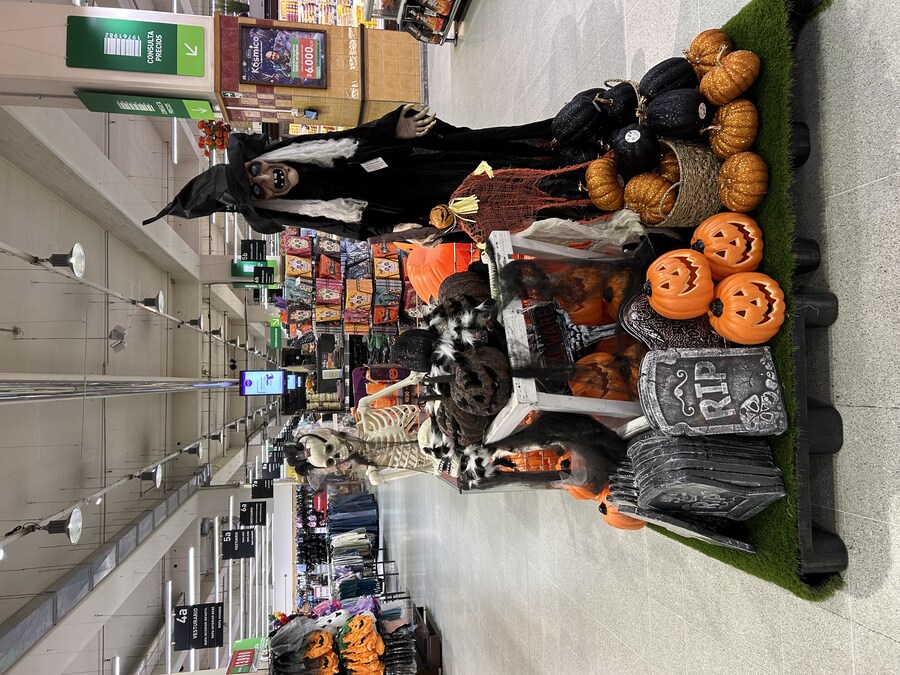 칠레 처갓집 방문기 (2) 4-6일차 : 발파라이소 / 비냐 델 말_22.jpg