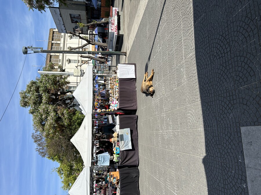 칠레 처갓집 방문기 (2) 4-6일차 : 발파라이소 / 비냐 델 말_43.jpg