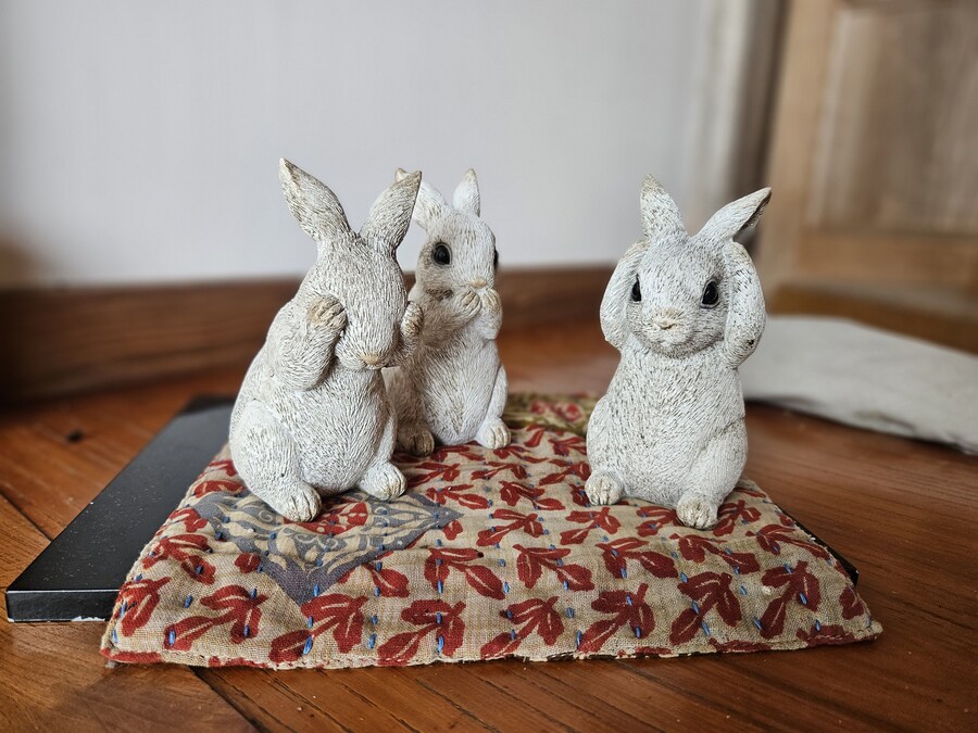 단풍과 이끼. 니가타 9박10 여행 - 2_26.jpg