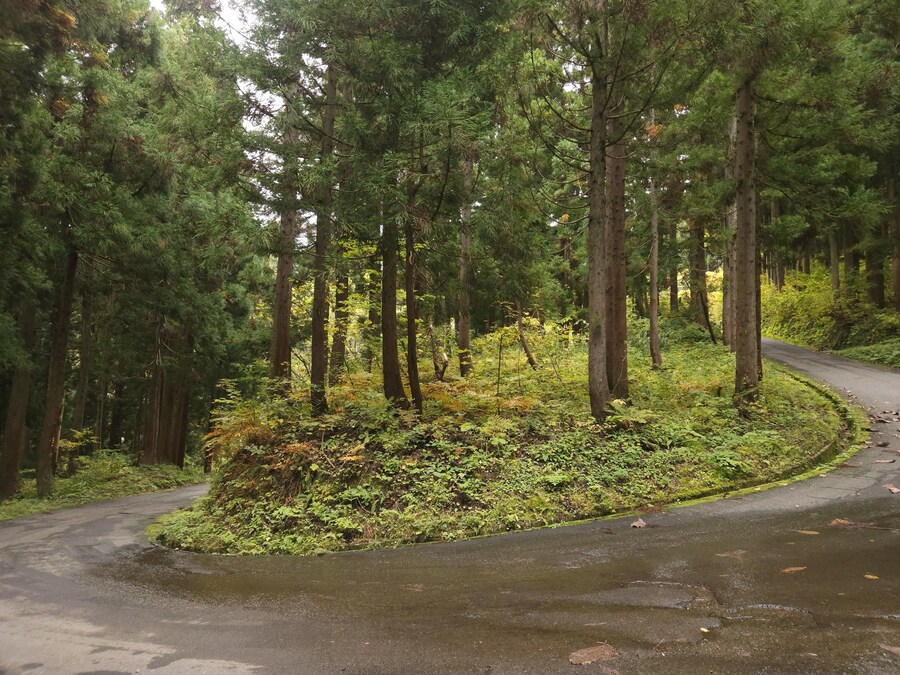 단풍과 이끼. 니가타 9박10 여행 - 2_29.jpg