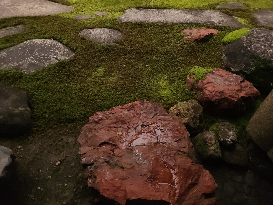 단풍과 이끼. 니가타 9박10 여행 - 2_36.jpg