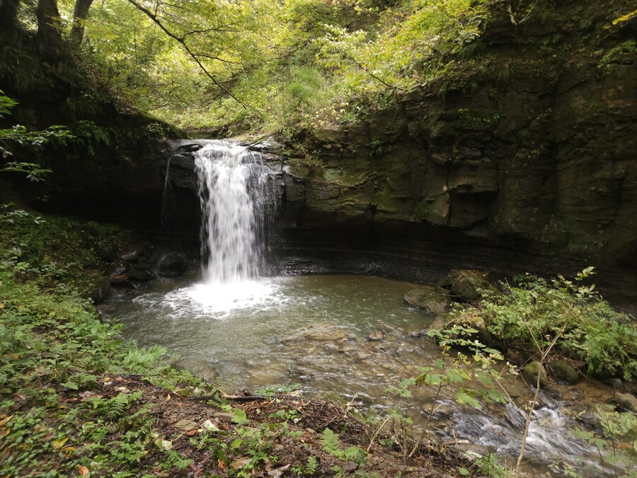 단풍과 이끼. 니가타 9박10 여행 - 2_40.jpg