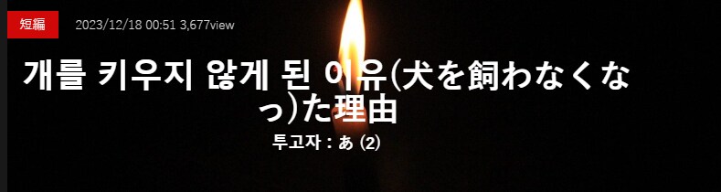 기기괴괴)개를 키우지 않게 된 이유_2.png