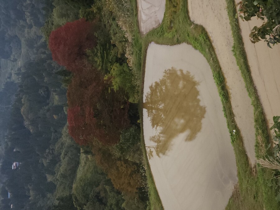 단풍과 이끼. 니가타 9박10 여행 - 2_42.jpg