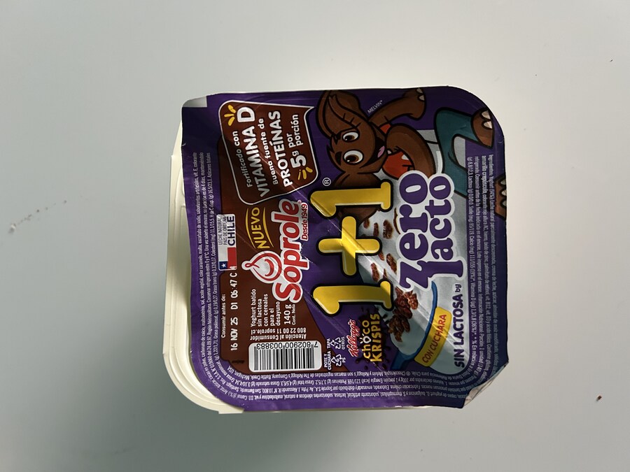 칠레 처갓집 방문기 (2) 4-6일차 : 발파라이소 / 비냐 델 말_82.jpg