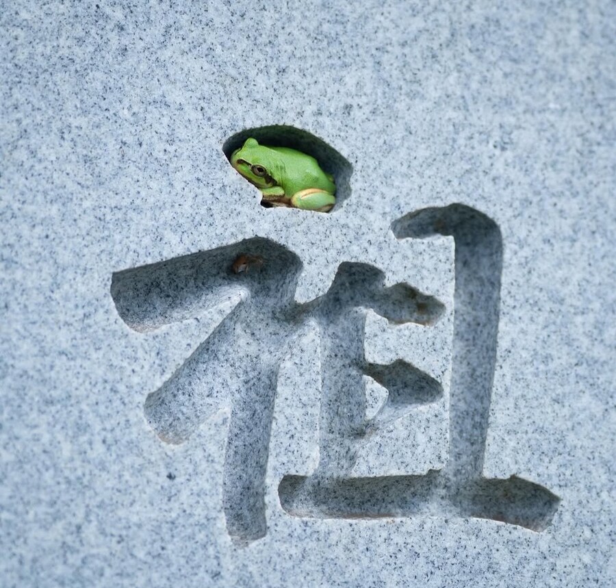 이건 내 구멍이에요 내가 들어갈 구멍이에요_1.jpg