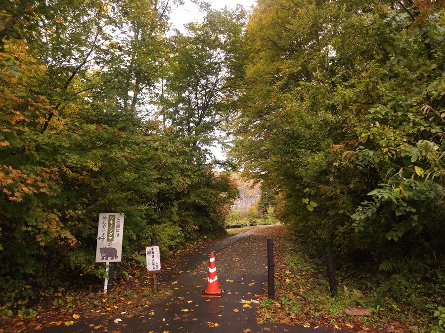 단풍과 이끼. 니가타 9박10 여행 - 3_5.jpg