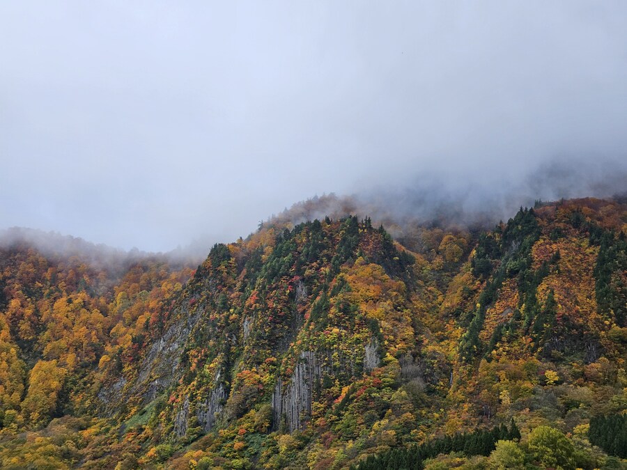 단풍과 이끼. 니가타 9박10 여행 - 3_8.jpg