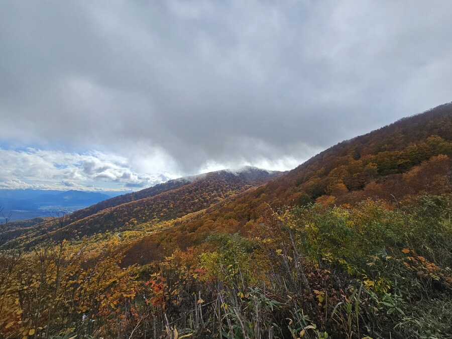 단풍과 이끼. 니가타 9박10 여행 - 3_16.jpg