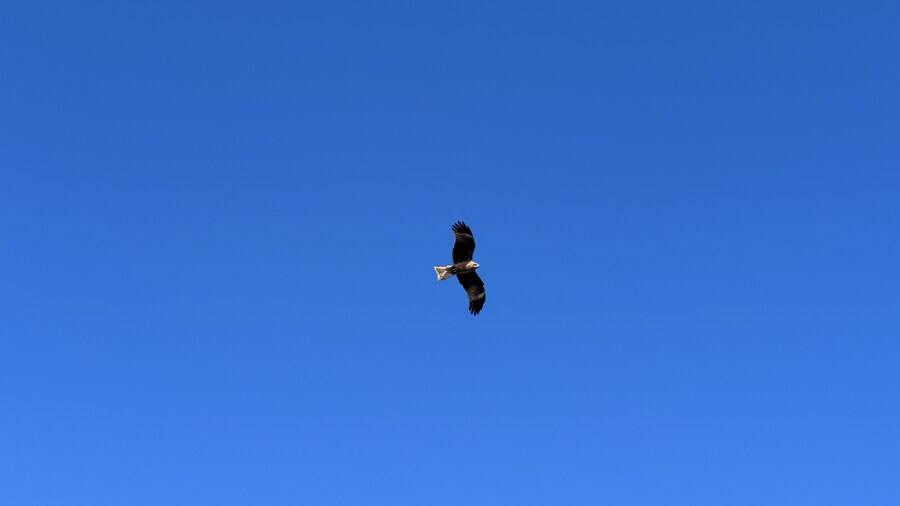 어머니와 단둘이 일본 여행. (※초스압 & 데이터)_22.jpg