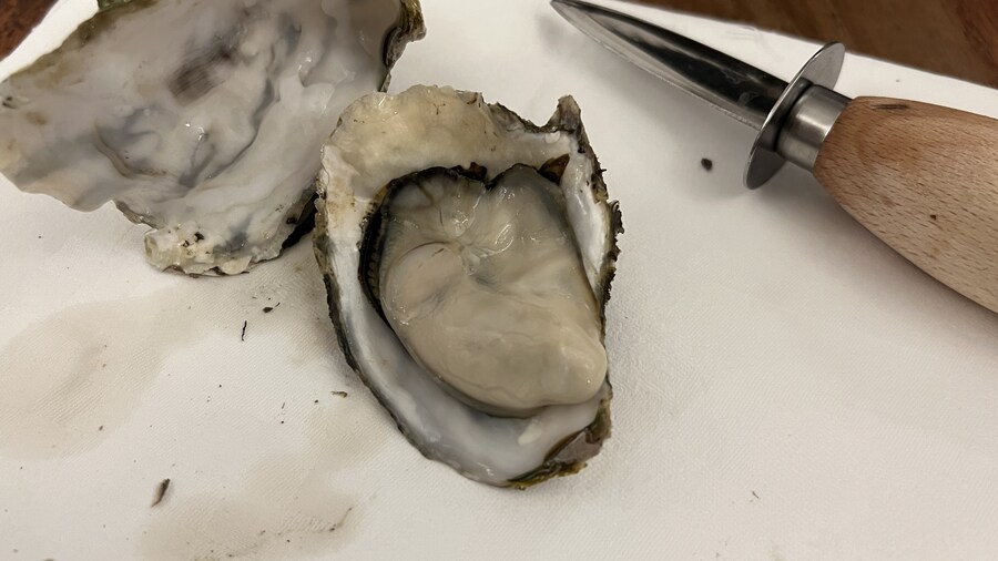 어머니와 단둘이 일본 여행. (※초스압 & 데이터)_49.jpg