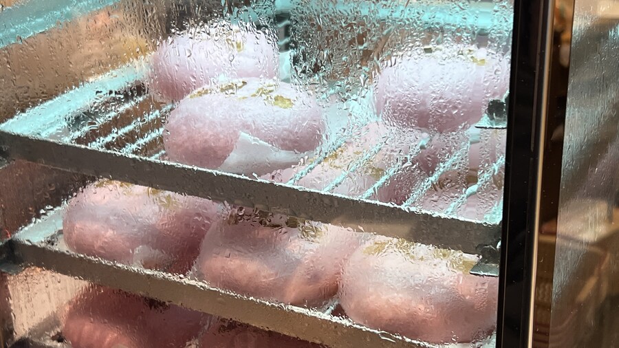 어머니와 단둘이 일본 여행. (※초스압 & 데이터)_102.jpg