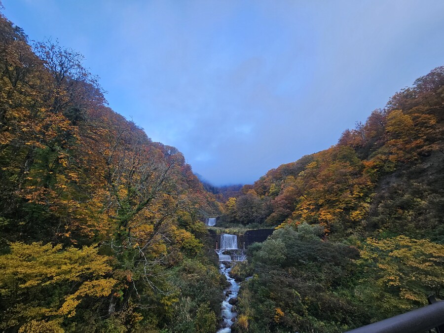 단풍과 이끼. 니가타 9박10 여행 - 3_27.jpg