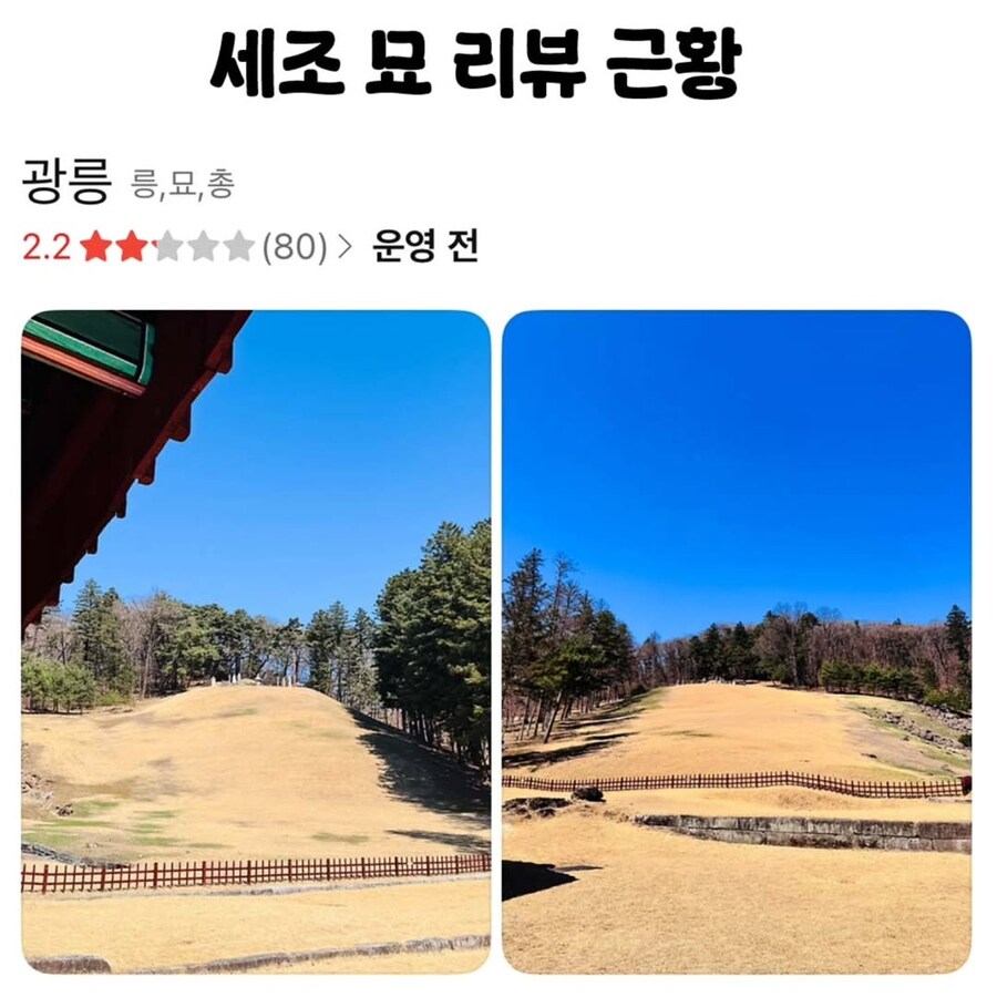 평점 망했다는 플레이스_1.png