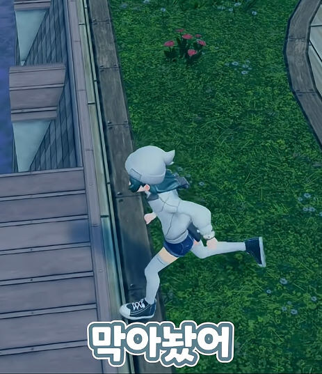 버미육)포켓몬 ZA 디테일_24.jpg