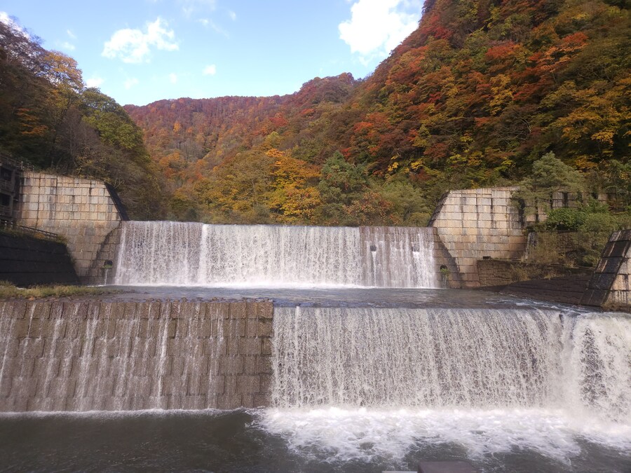 단풍과 이끼. 니가타 9박10 여행 - 3_32.jpg