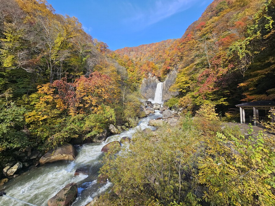 단풍과 이끼. 니가타 9박10 여행 - 3_34.jpg