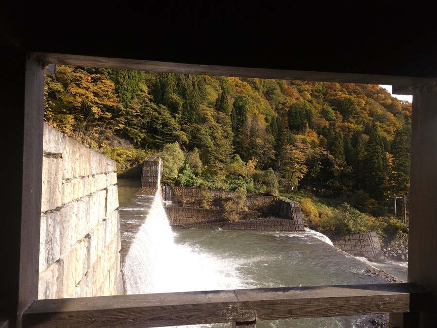 단풍과 이끼. 니가타 9박10 여행 - 3_35.jpg