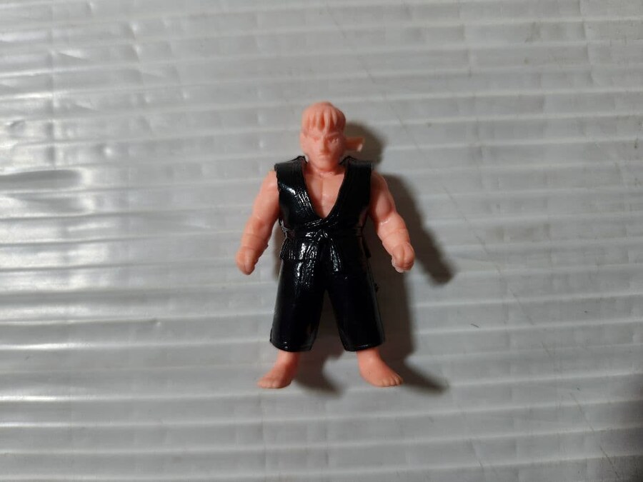 92년 올드토이 스트리트파이터2 갸샤폰 12종 수집완료._4.jpg